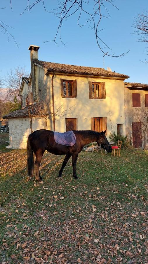 La Caneveta Al Piave Βίλα Valdobbiadene Εξωτερικό φωτογραφία