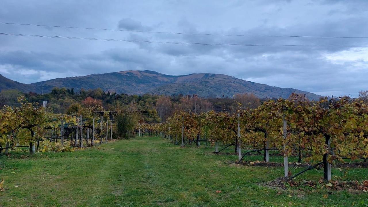 La Caneveta Al Piave Βίλα Valdobbiadene Εξωτερικό φωτογραφία